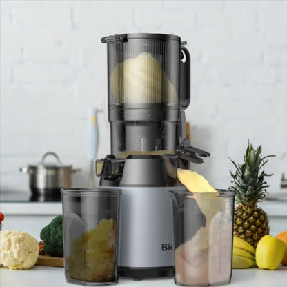 High-Capacity Juicer